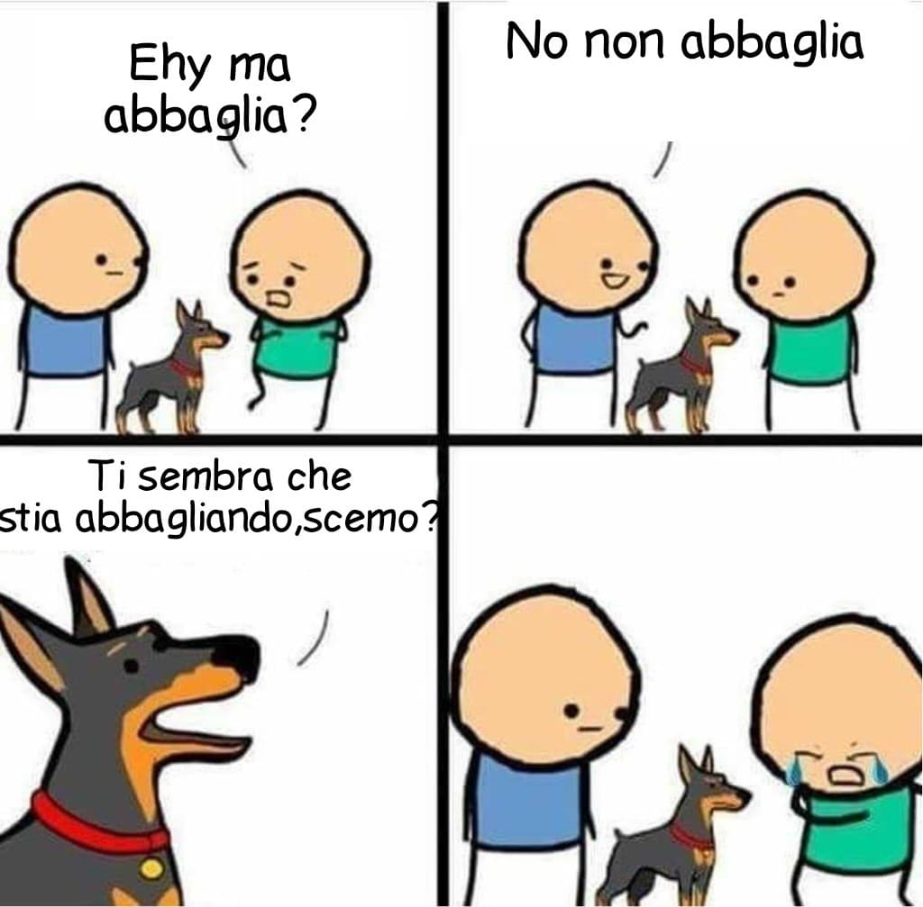 Quando pure i cani ti danno dello scemo