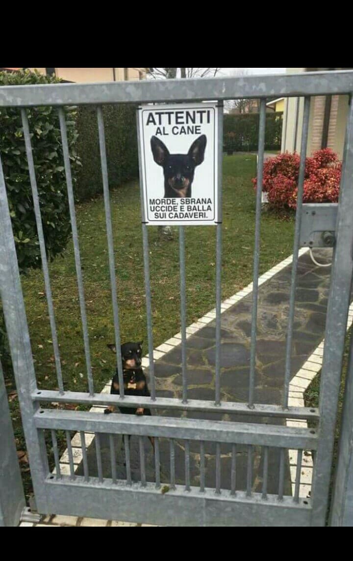 ATTENTI AL CANE non bastava???