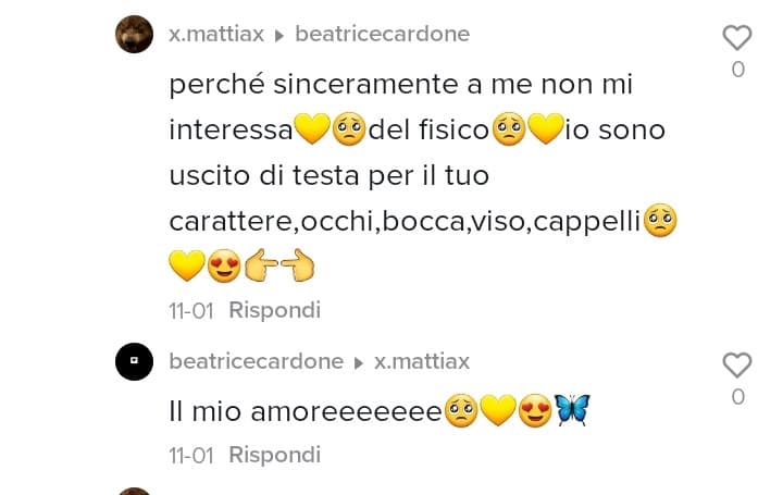 Avrei voluto sottolineare che occhi, bocca e viso facciano parte del fisico, e i capelli siano solo degli accessori. Ma non volevo rovinare una chat che dovrebbe essere romantica. 