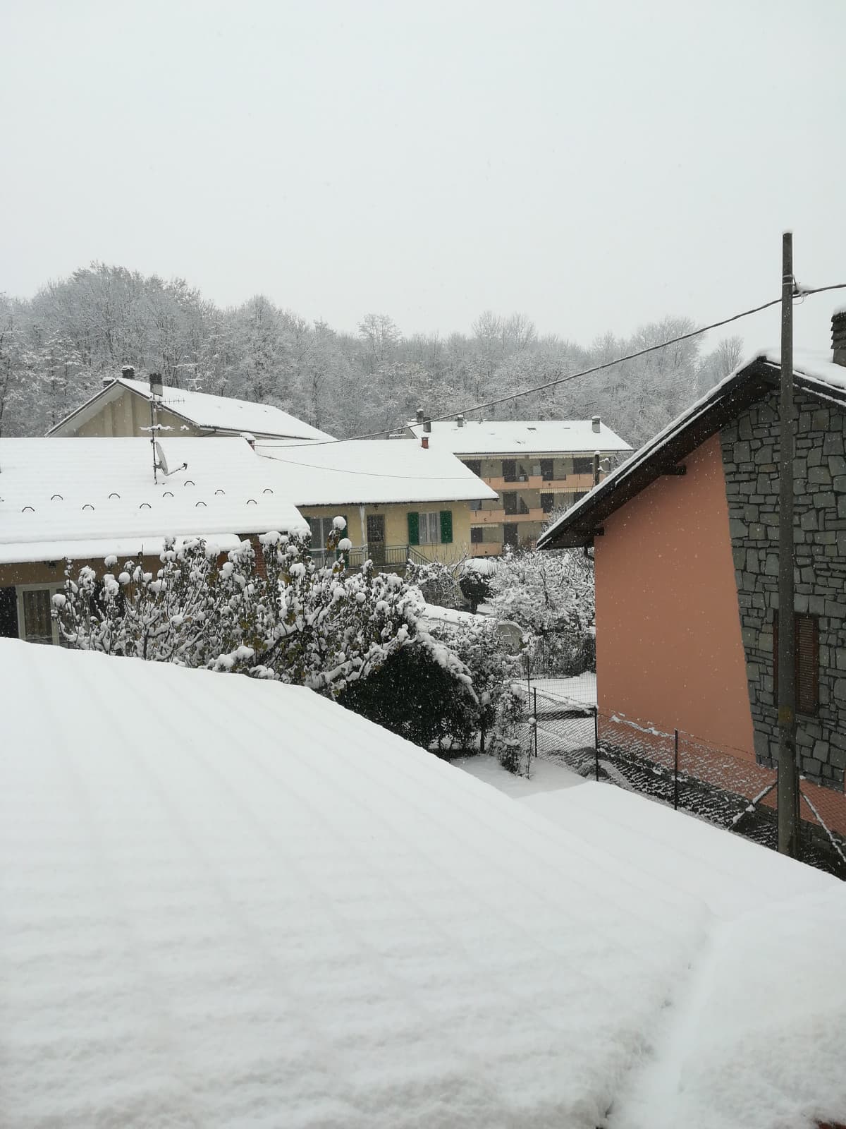 15 cm di neve