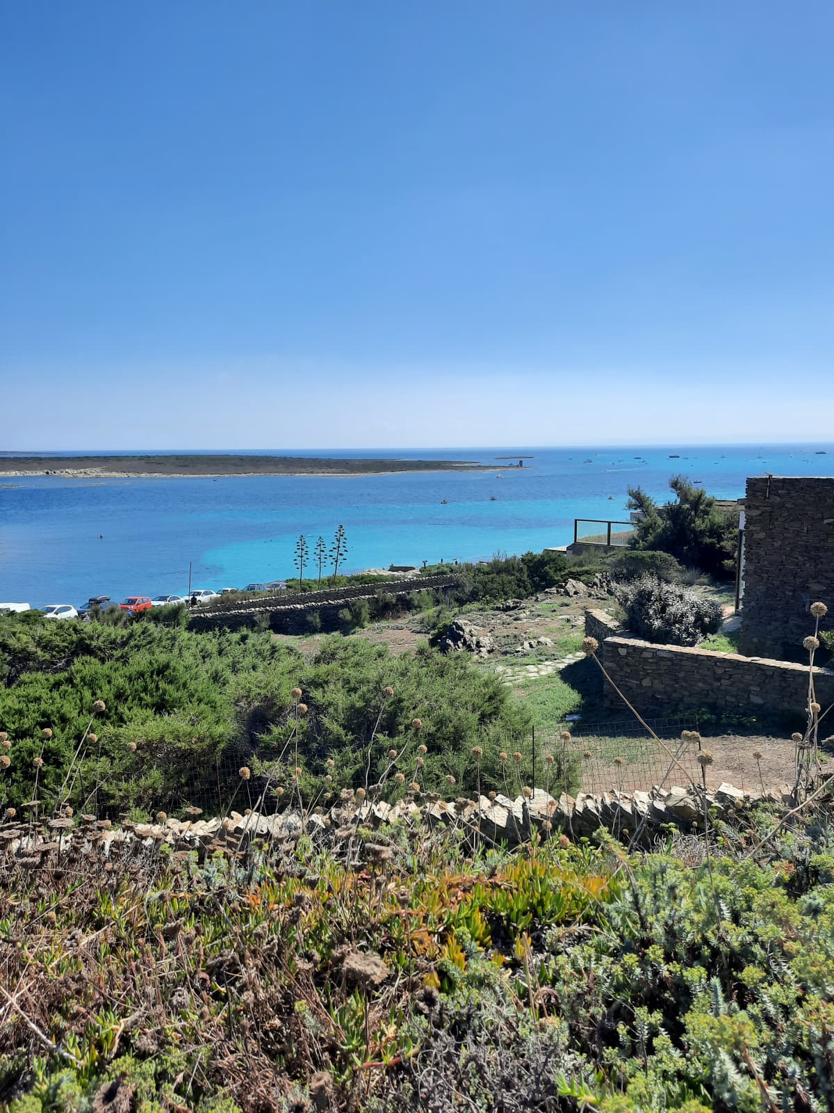 oggi un crucco ha cagato in spiaggia e ha preso un multone. ma come cazzo si fa?