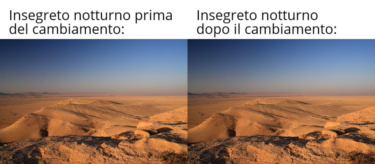 Diciamo la verità