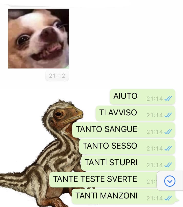 AMICA: ma sai che mi guardo Vikings? Mi hai incuriosita

IO: