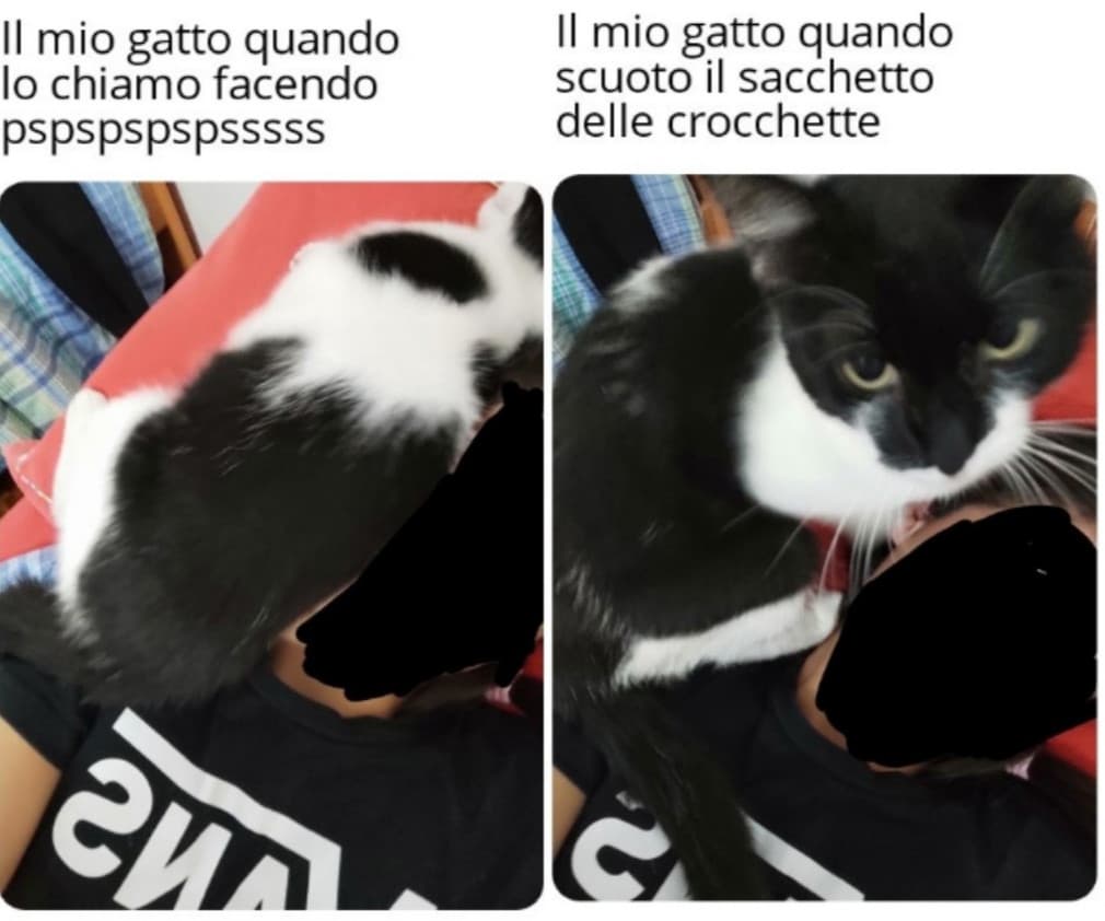 Ormai ci trovo gusto a creare template e sì, nella prima immagine sta sopra la mia faccia