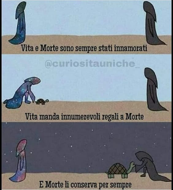 Ahhh magari è così 