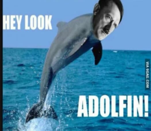 Adolfin