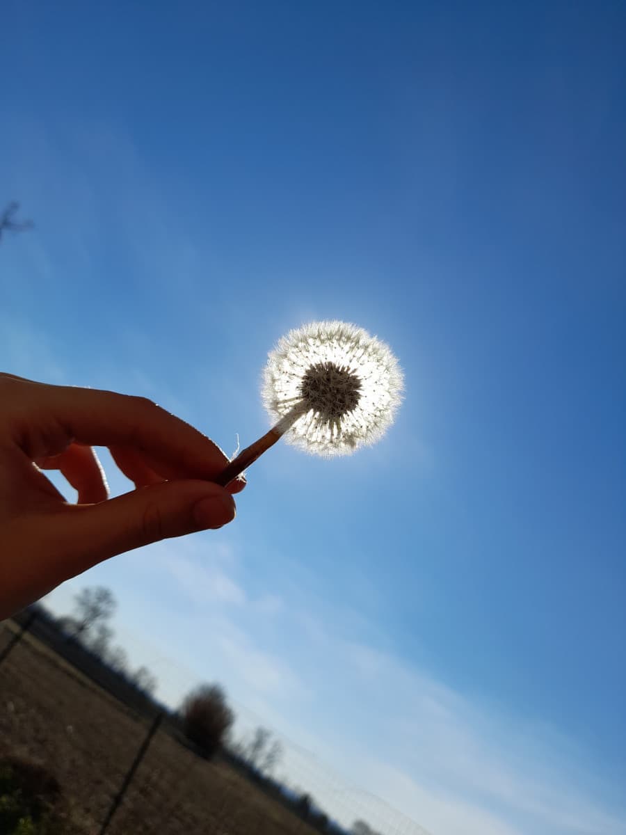 il mio desiderio è incontrare e abbracciare il mio migliore amico a distanza ? -V