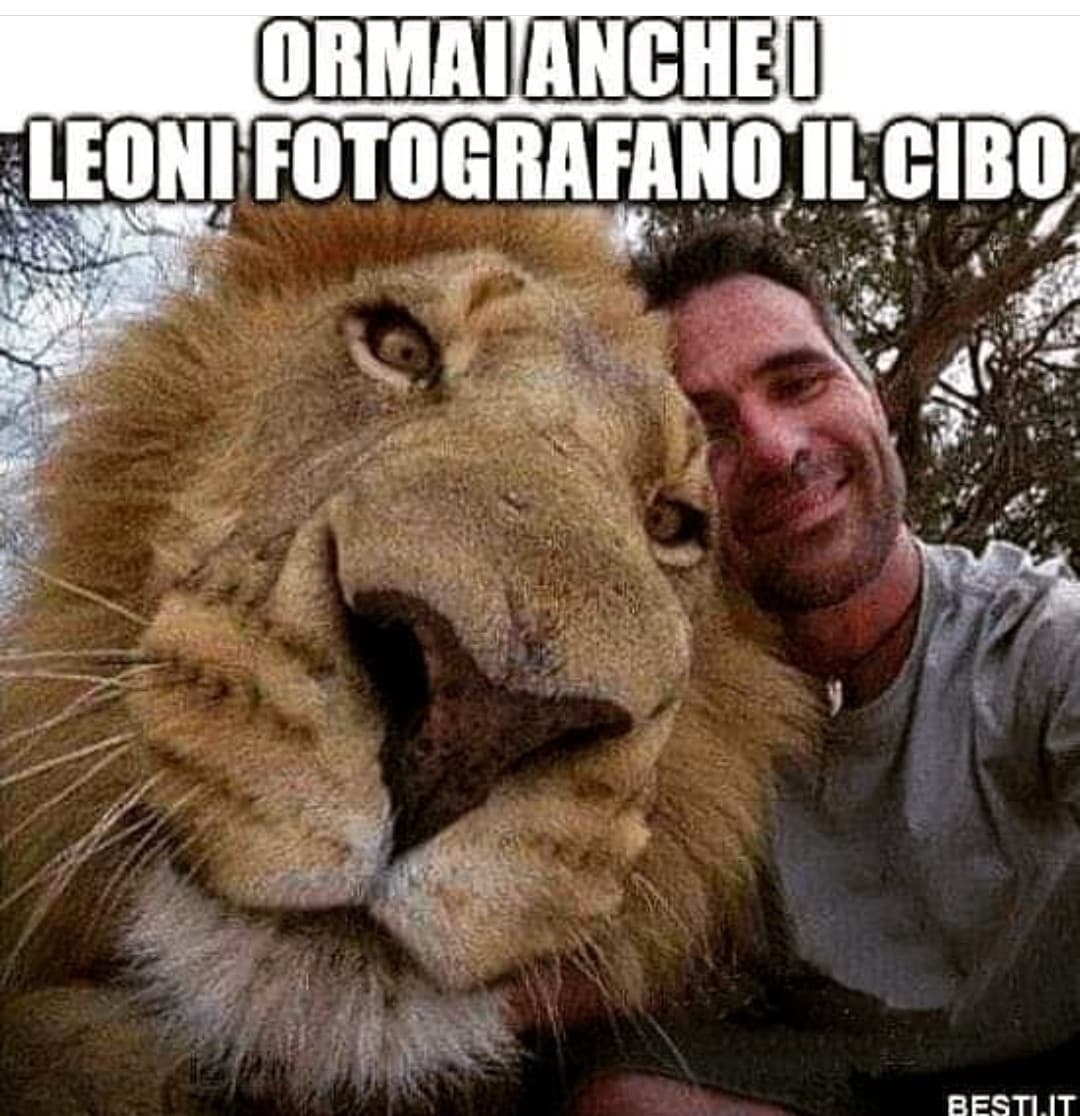 Fotografia mo anche noi il cibo