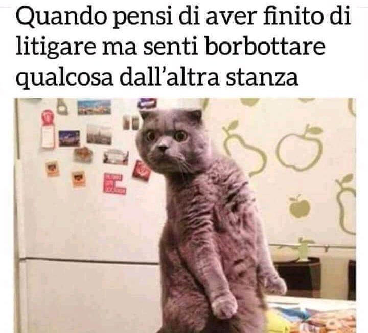 Cosa?!