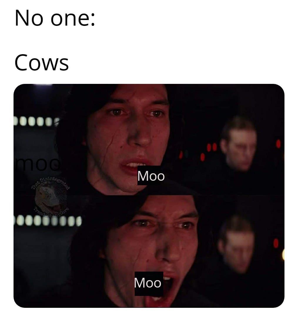 Moo Moo