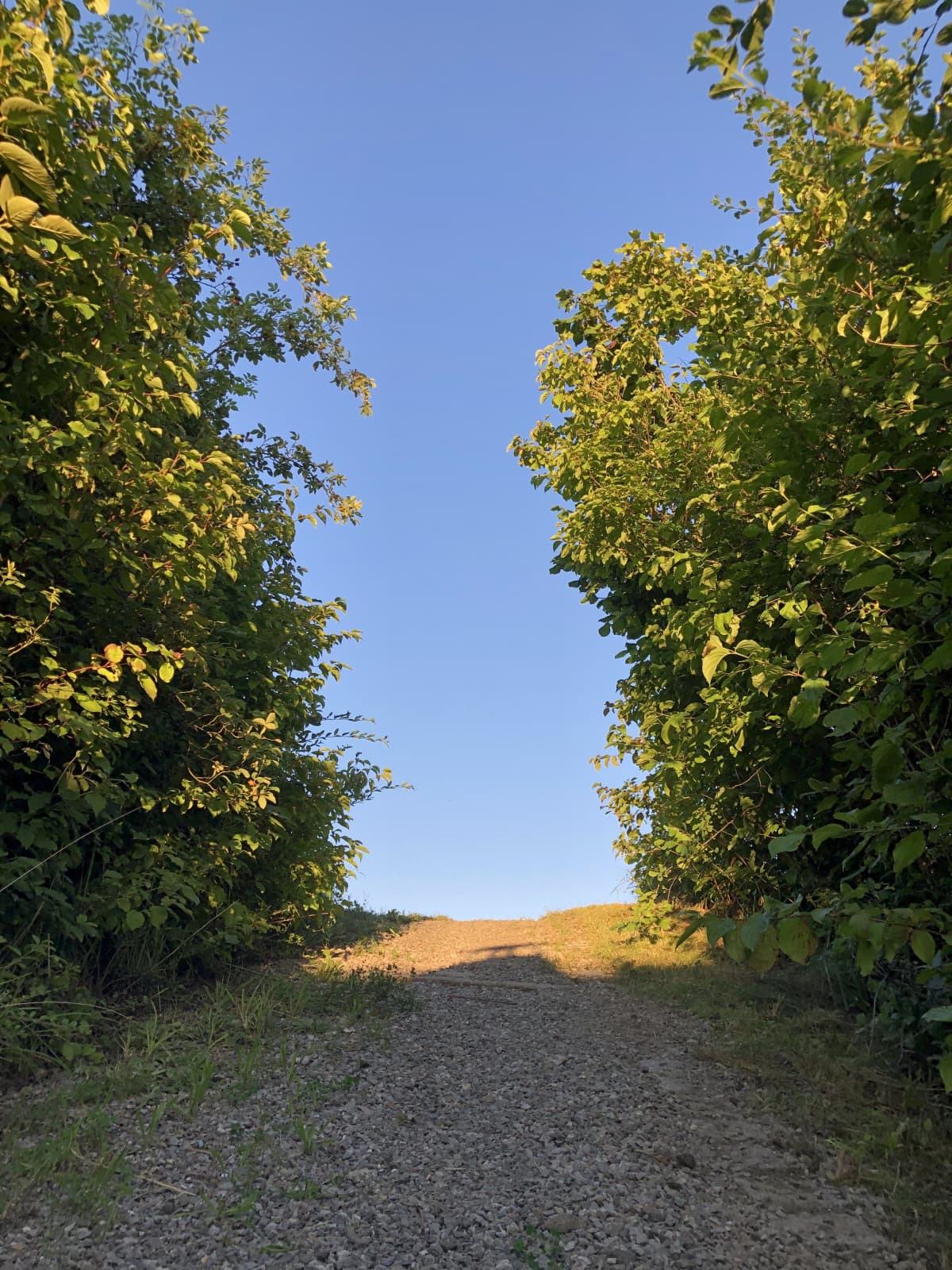 La strada non è sempre prevedibile