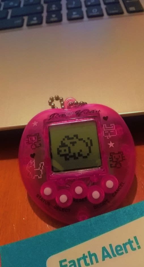 TAMAGOTCHI AKKAKZMSM