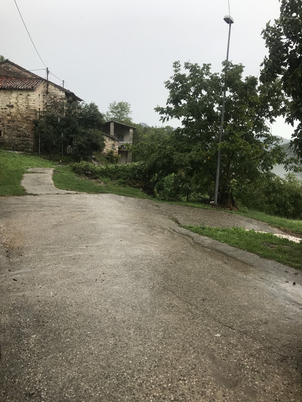 Piove e fa freddissimo. La volpe ha ucciso tutte le checchete del vicino (a parte una). Probabilmente il vicino ucciderà la volpe, devo chiedergli il cranio 