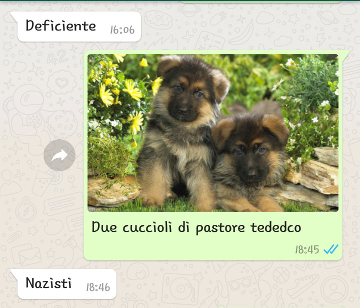 Cosa  pensa mio padre dei pastori tedeschi. 