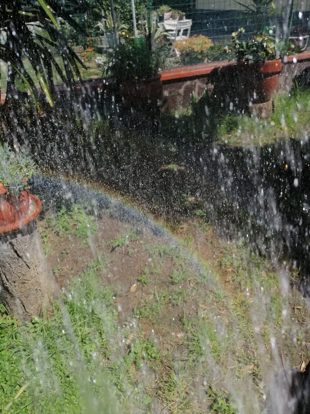 Ho spawnato un arcobaleno 