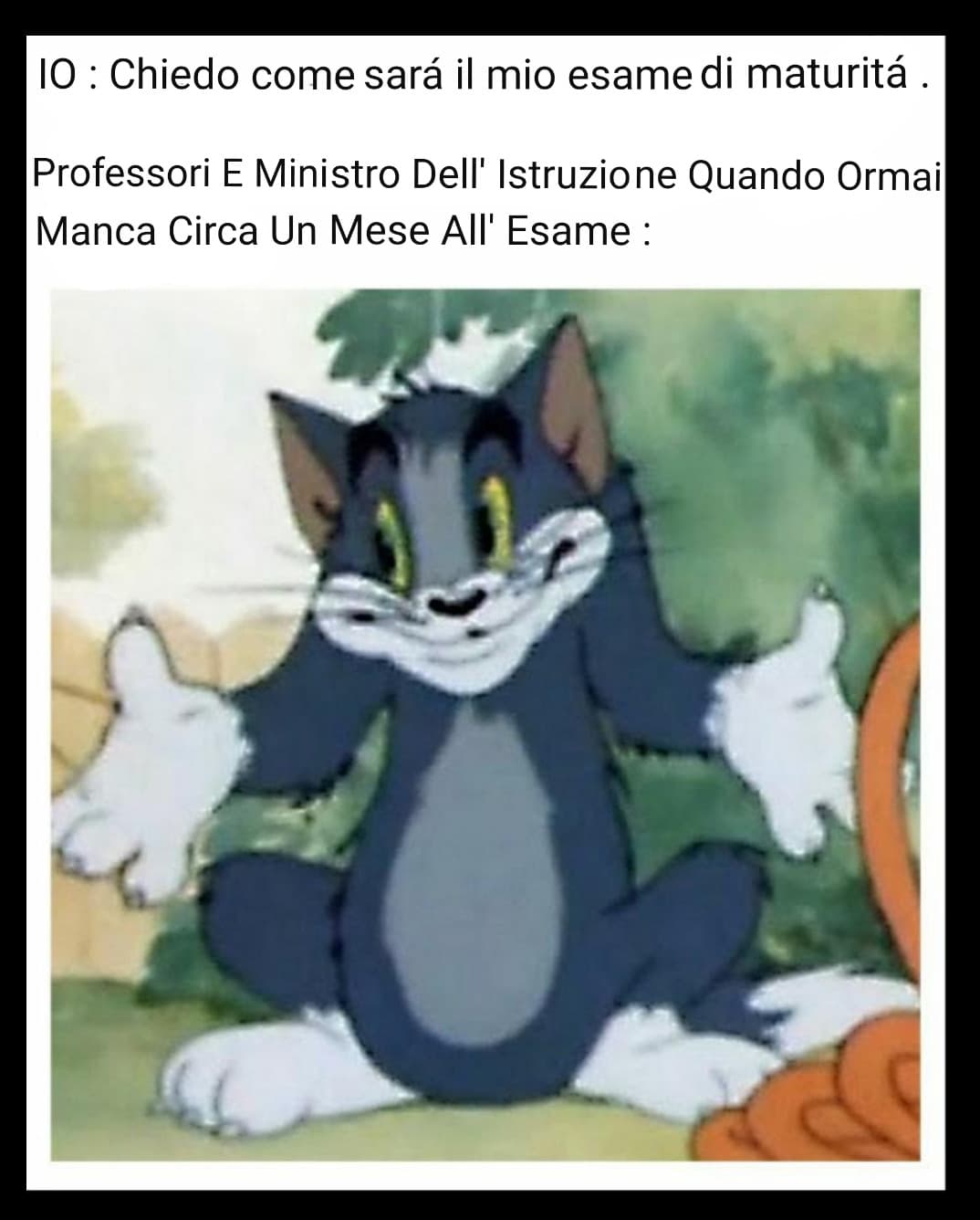 Si commenta da solo .