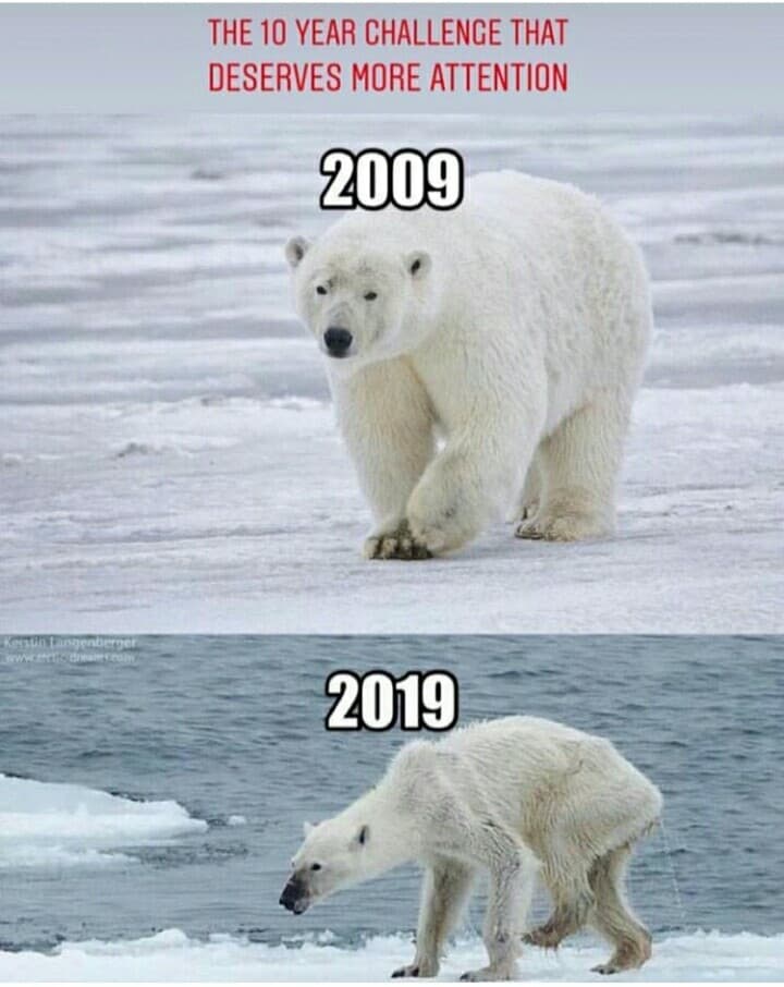 La 10yearschallenge che merita piú attenzioni?