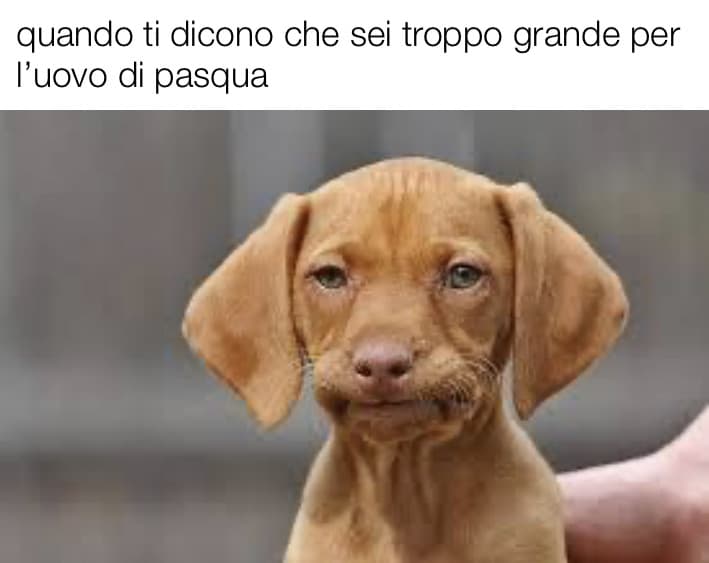 non si è mai troppo grandi >:(