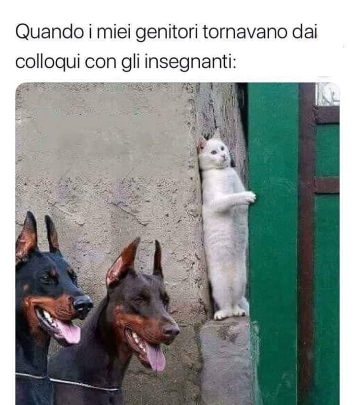 Ma quanto é vero