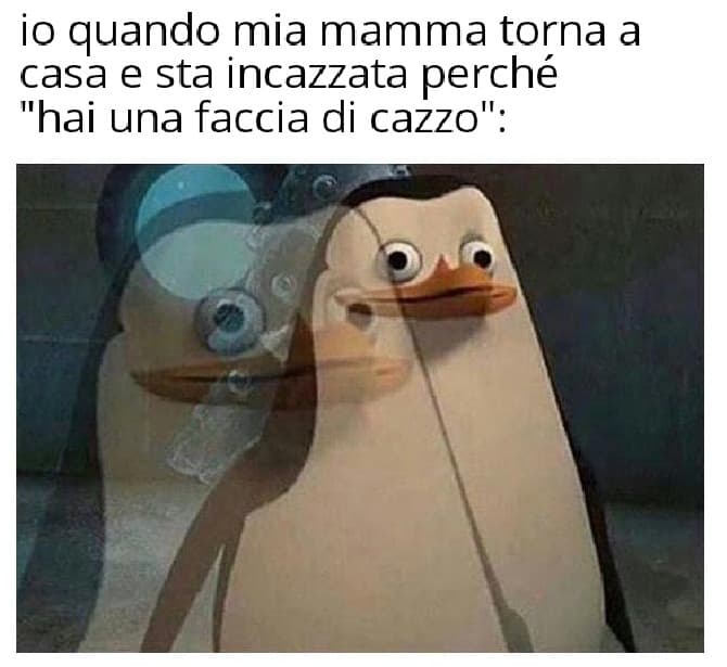 Sto seriamente iniziando a pensare che mia madre mi odi