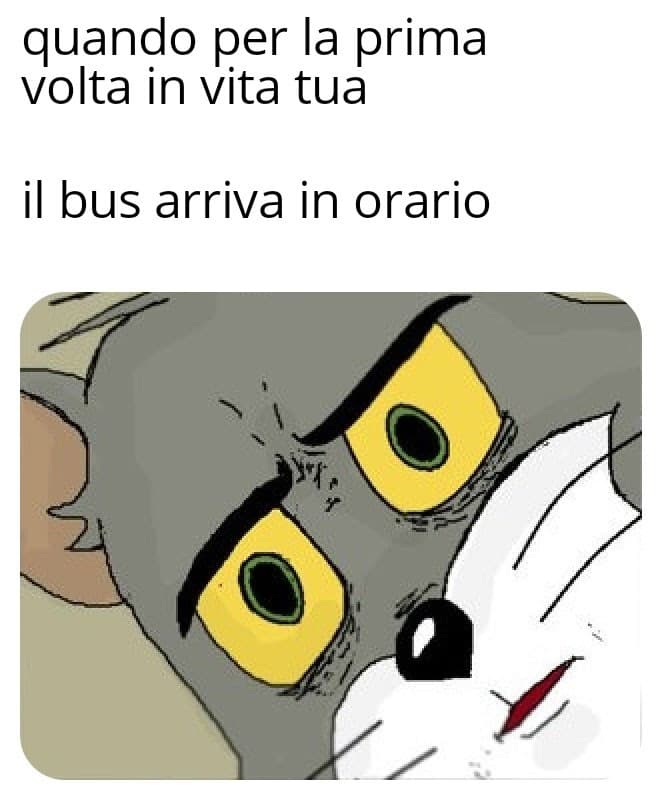 #bus