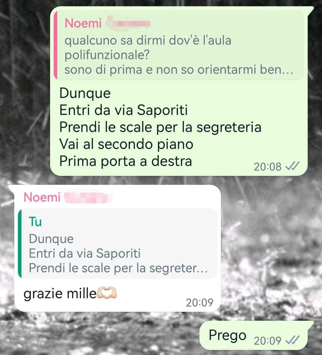 Guardate come ci provo con le primine, guardate