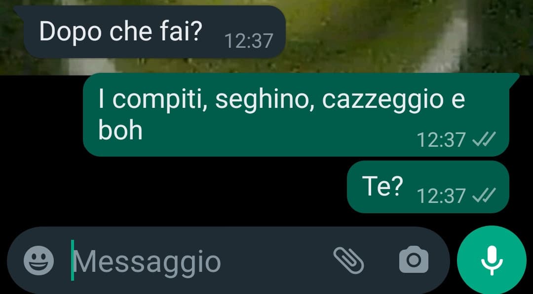 Raga basta con Piero, aveva tipo 93 anni anche basta, cioè va bene la tristezza ma dopo 20 minuti di segreti e shout tutti su di lui anche basta 