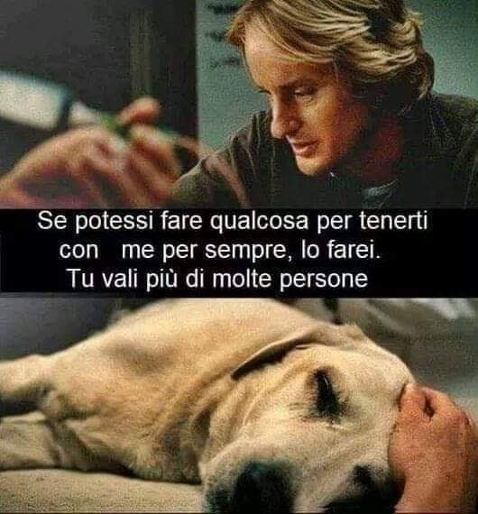  i lacrimoni con questo film, soprattutto le scene finali ??????
➡ Io & Marley ⬅