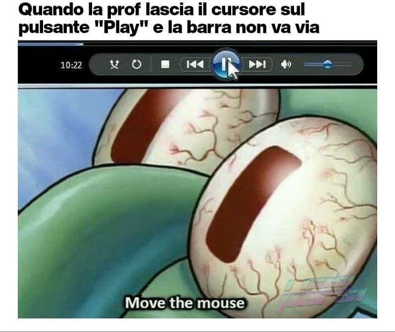 RAGA QUESTO MEMW RISPECCHIA IL MIO ODIO. 