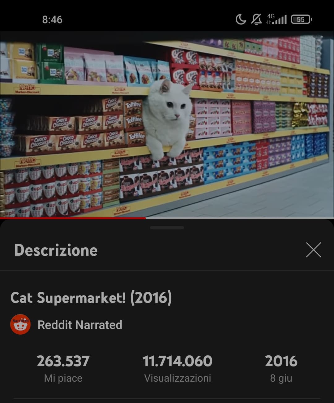 quasi 6 anni da questo video?? consiglio di andare a guardarlo a tutti i gattofili del sito