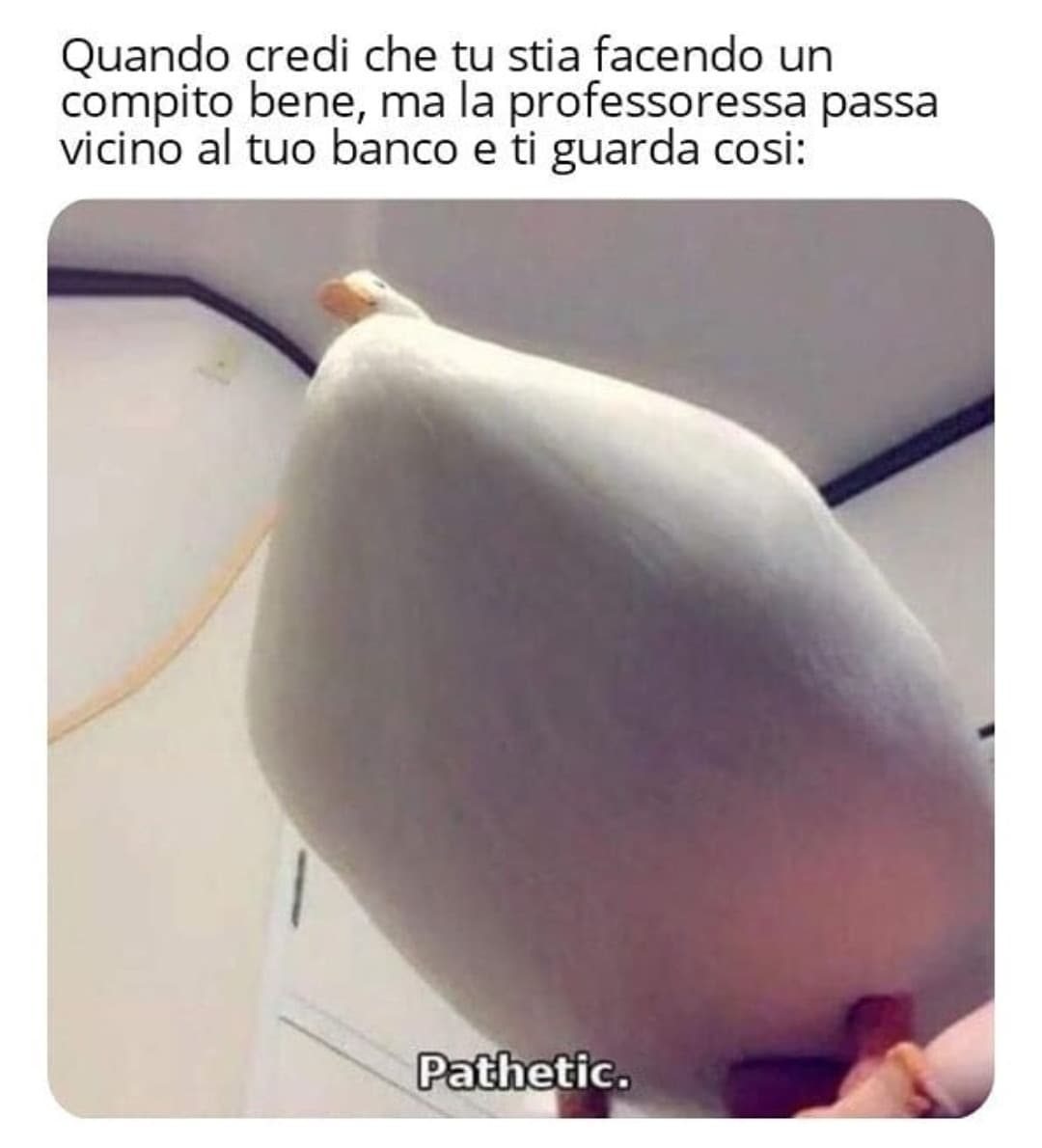 Sempre???‍♀️