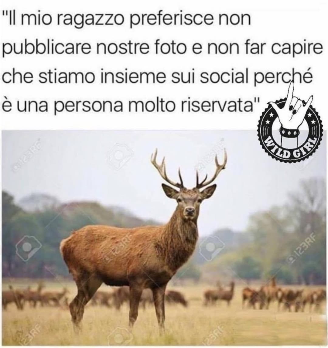 O magari è semplicemente riservato ?....che post idiota. 