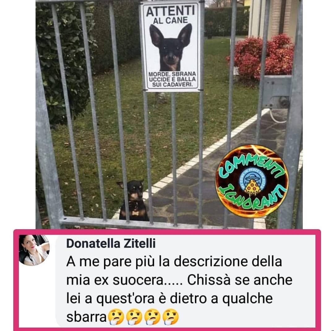 Da quel topo me lo aspetto