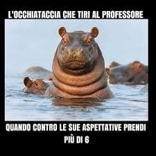 Ahahah