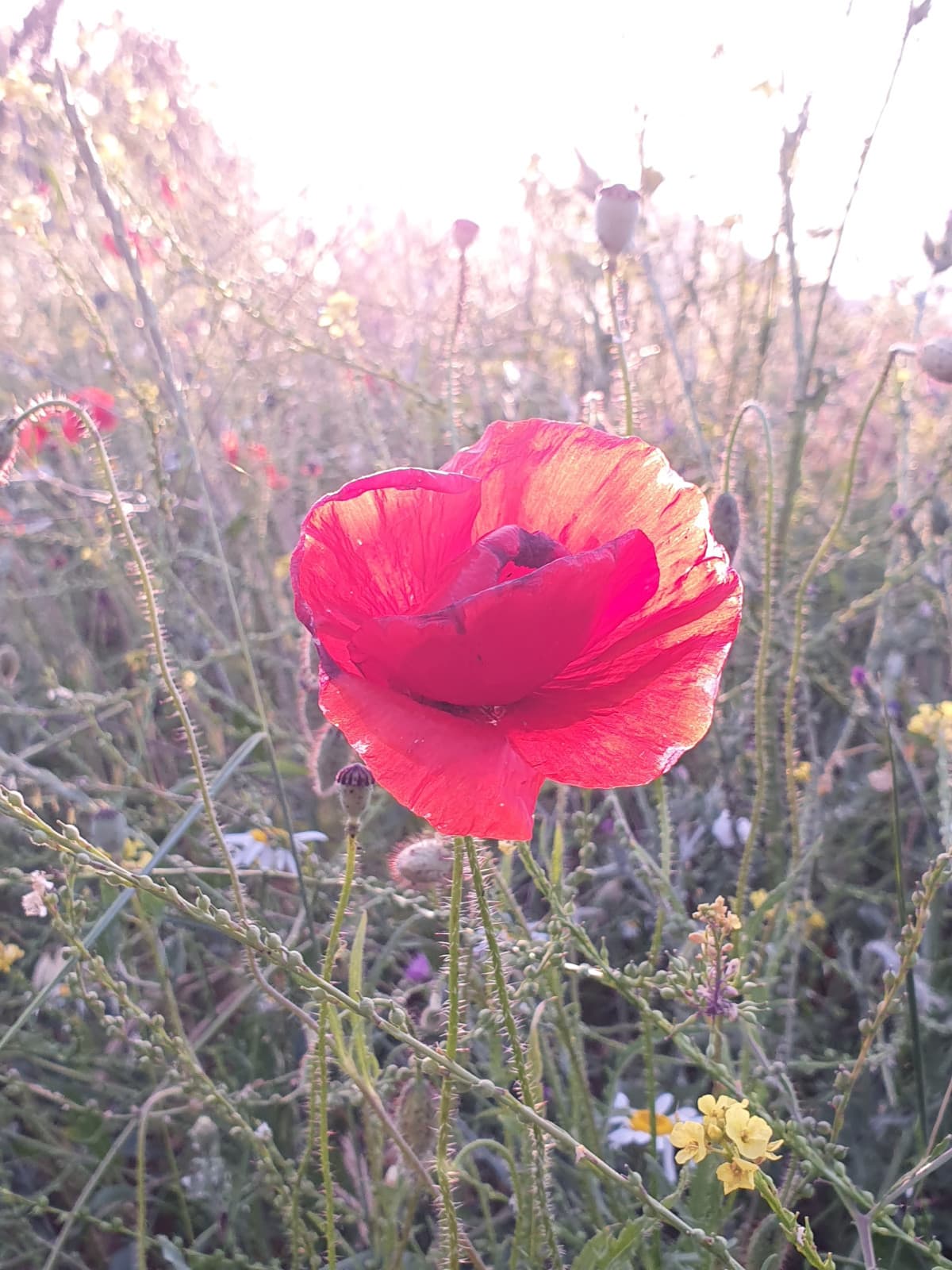 +5. ogni mese è un sospiro di sollievo 