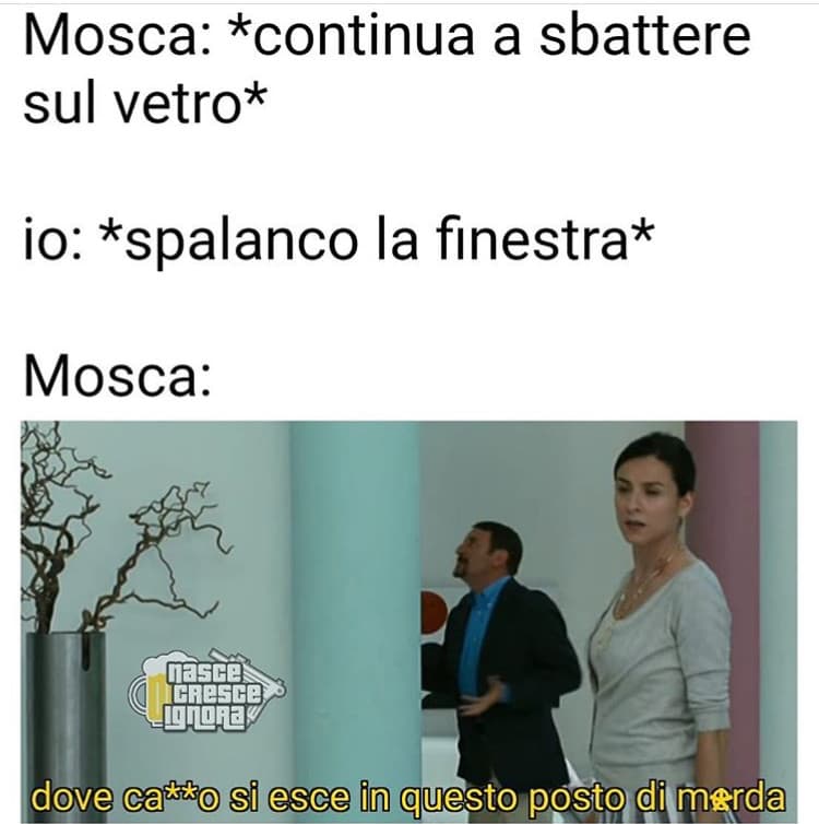 Sempre cosi