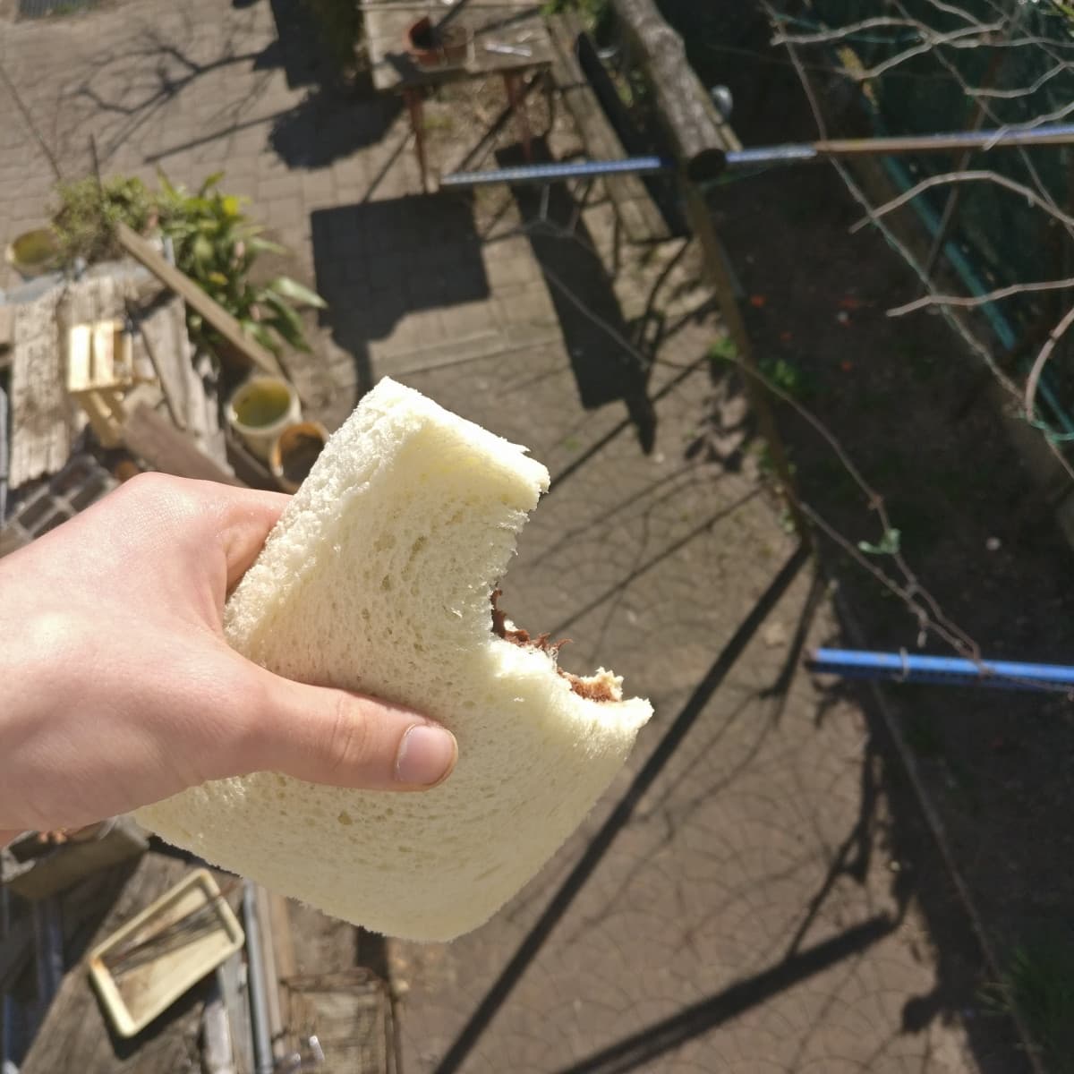 Con questa foto di un panino mezzo mangiato do inizio alla mia avventura negli shouts