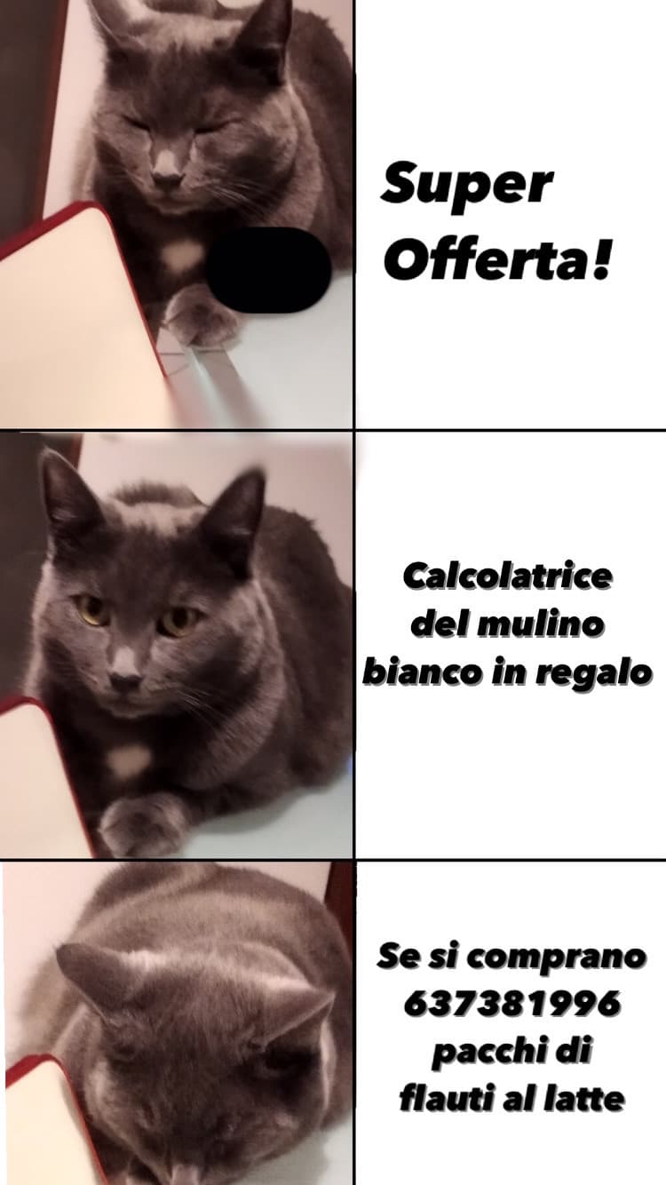 Ho provato ad usare il template della tizia ma non fa ridere