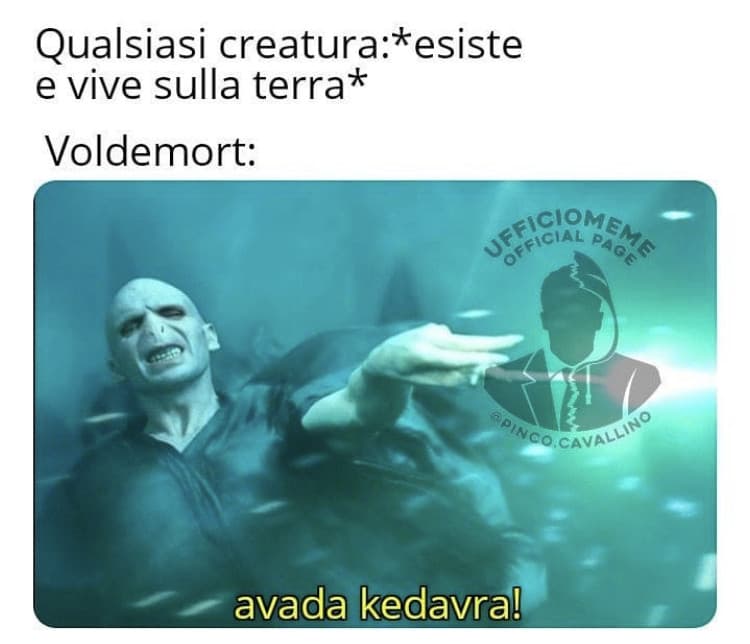 Zio Voldy