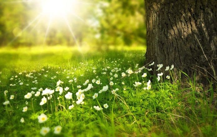 I prati fioriti, gli albicocchi in fiore, le farfalle colorate, il sole che splende e illumina la natura, l’odore e il rumore del mare