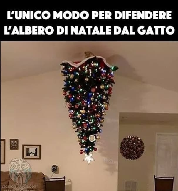 L’unico. Modo. 