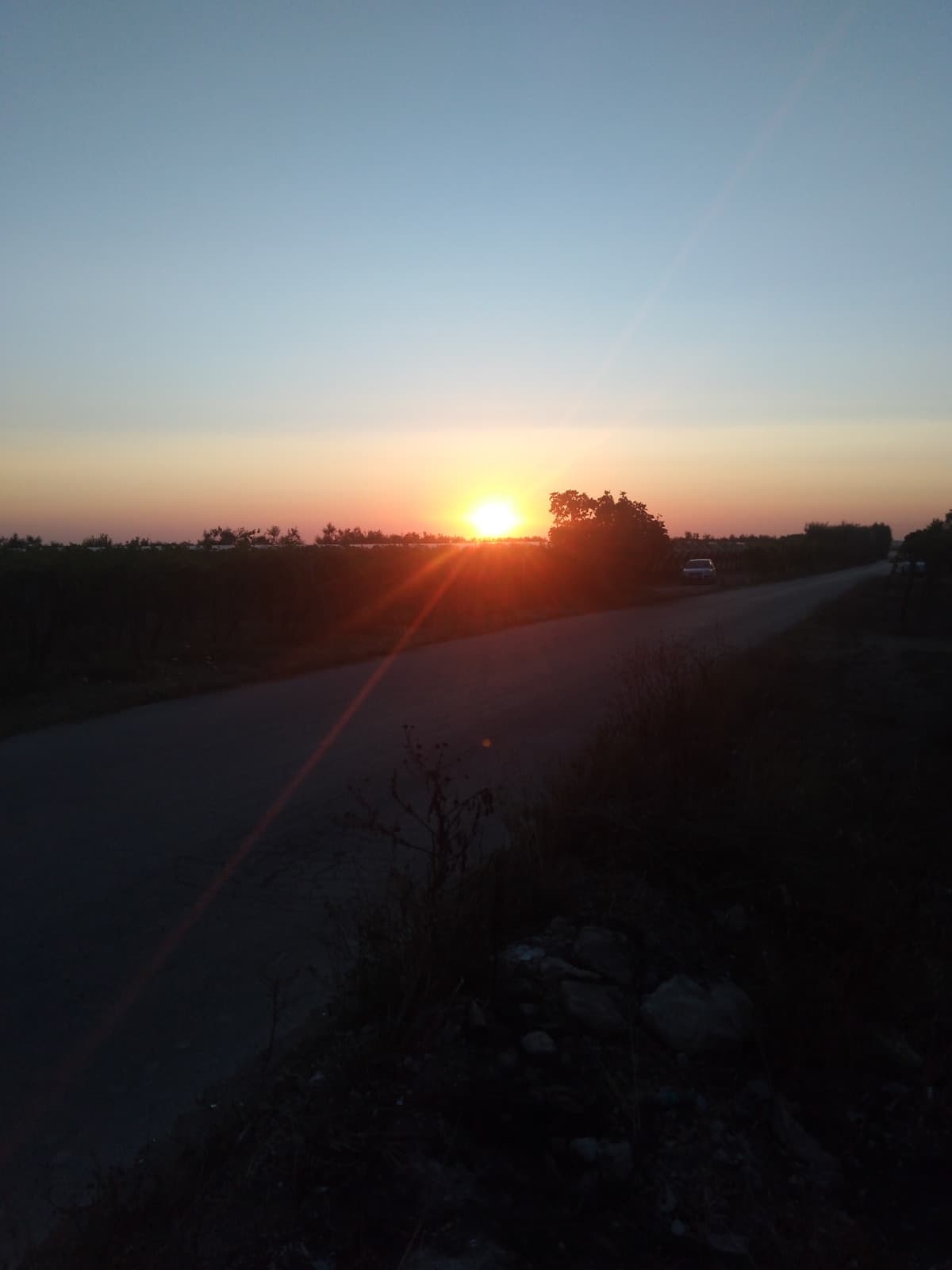 Andare in campagna la mattina presto è bello 