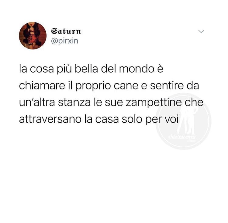 vivo per questo 