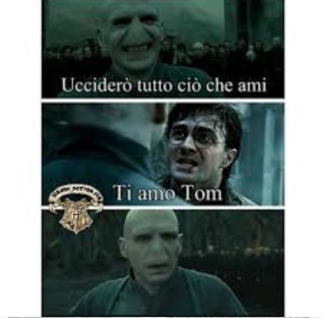 Un po' di meme su harry potter ?