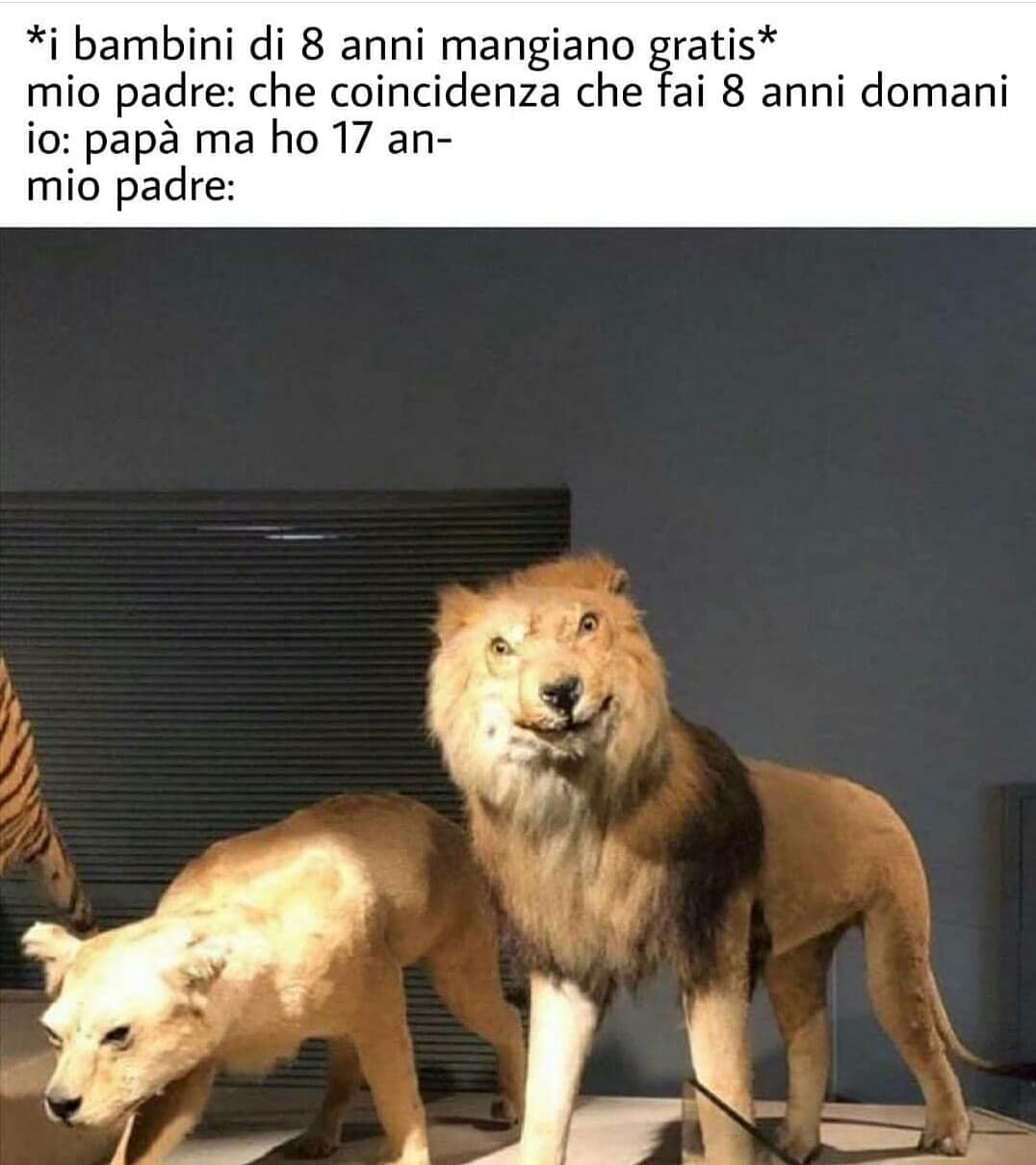 Ogni volta che la vedo rido??