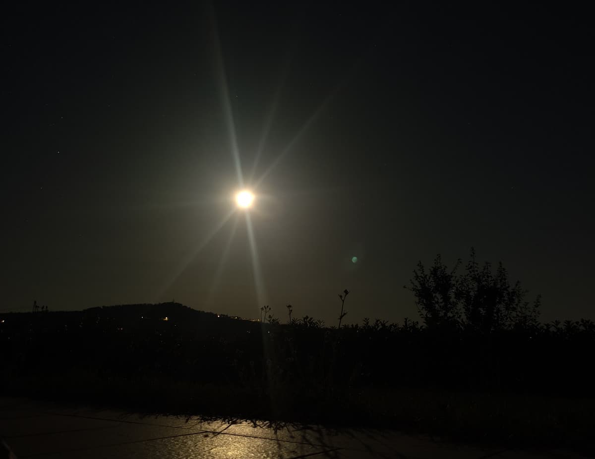 Sono qui, in campagna nel giardino di casa mia alle 2 di notte. É la sensazione più bella di sempre 