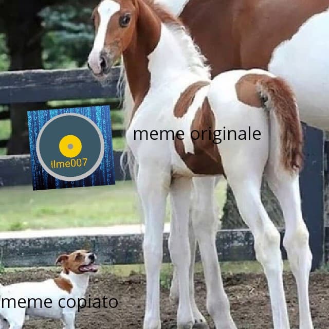 da uno a dieci quanto odiate la gente che copia io meme 