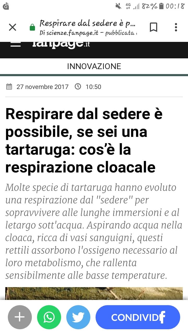 Le ricerche intelligenti