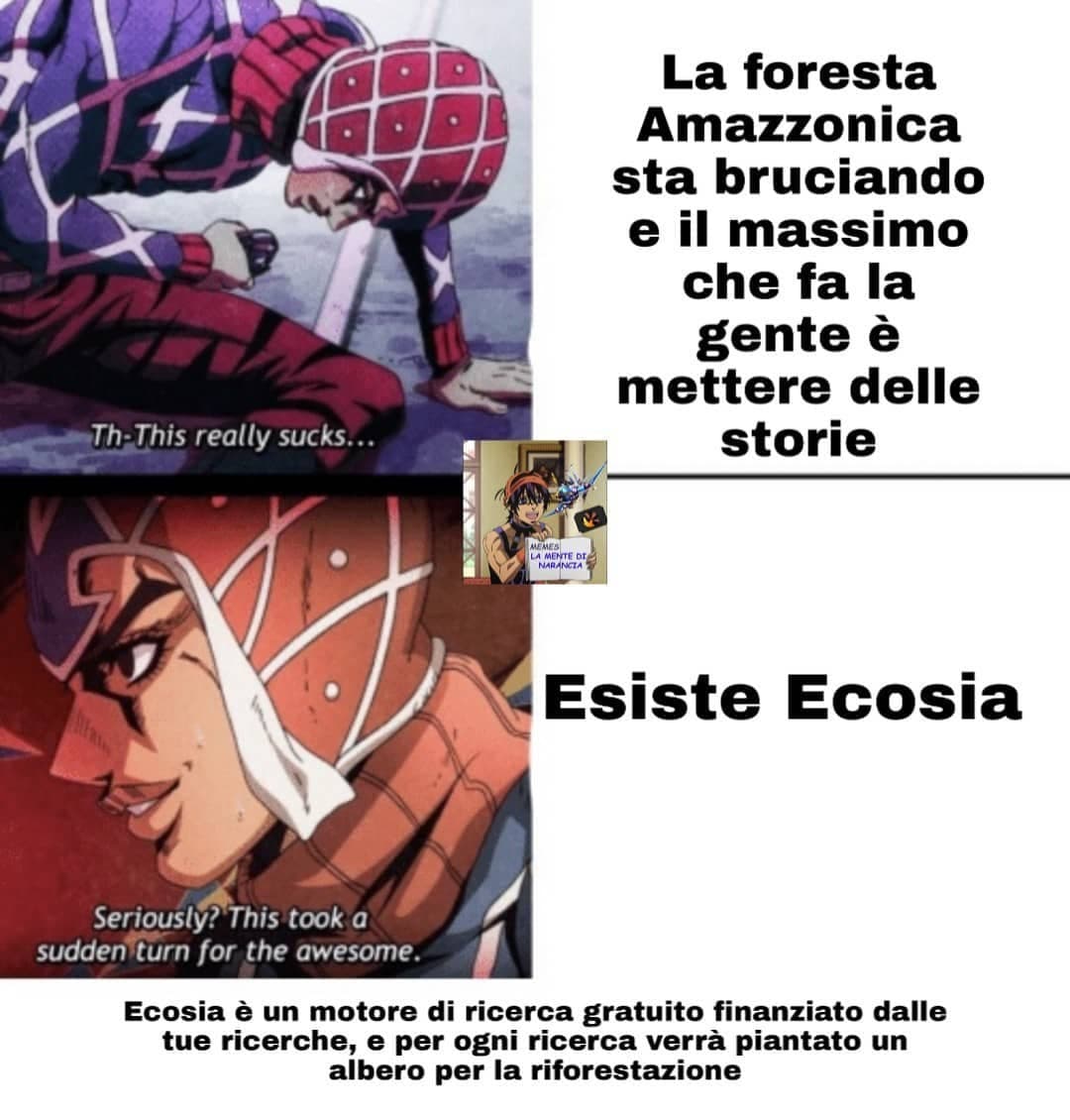 Quella povera foresta 