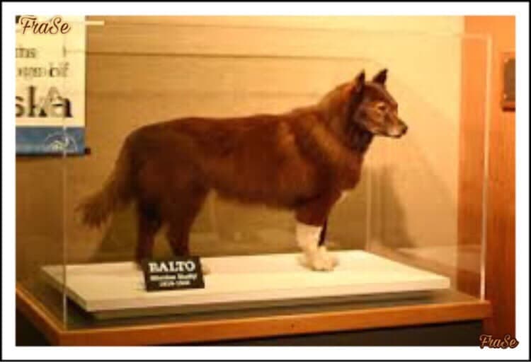 BALTO